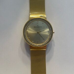 Skagen Women's Gold Mesh Watch (SKW2129)